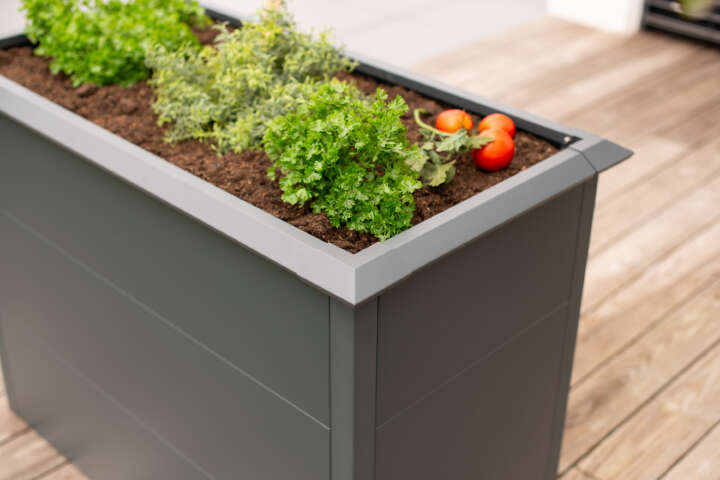 WESTMANN Hochbeet Primus